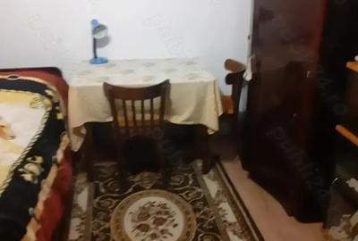 Garsonieră în Lugoj - 5