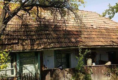 Casă cu 2 camere cu Teren 24215 Mp în Negreni - 7