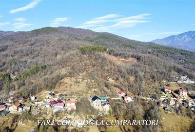 CALIMANESTI, TEREN 1231 MP - 7