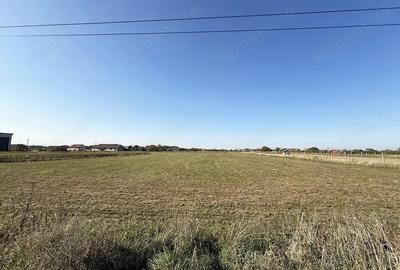 5000 mp. teren intravilan - Les - IMOBIHOR - 4