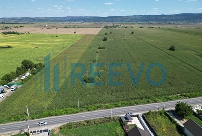 Teren de vanzare, Letea Veche, Jud. Bacau - 6