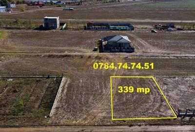 Teren cu gaz si curent - comuna Berceni Teren cu gaz si curent - comuna Berceni - 3