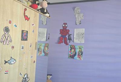 Apartament cu 3 camere decomandat în ISR - 5