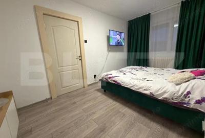 Apartament cu 2 camere semidecomandat în Brazda lui Novac