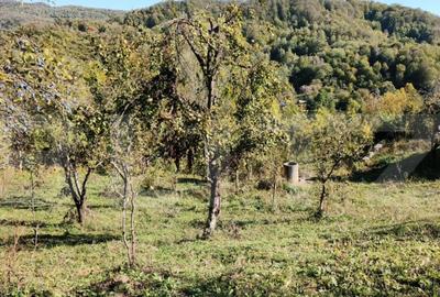 Teren cu priveli?te superba , livada ?i poten?ial casu? - 17