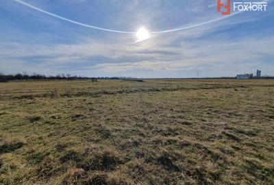 COMISION 0% Teren intravilan 6400 mp la drum asfaltat - Padureni - 12