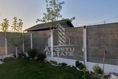 Triplex cu 3 camere, 2 bai, regim de inaltime P+1, Sanandrei - 11