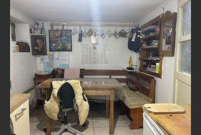 Casa cu garaj in Calnic, 231 mp construiti - 15