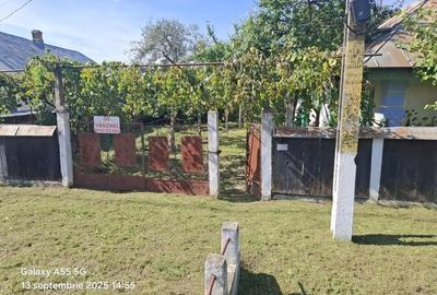 Casă cu 3 camere în Siliștea - 5