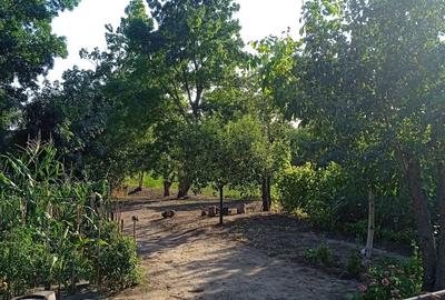 Casă cu 6 camere în Giubega - 5