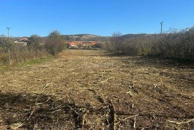 TEREN INTRAVILAN LA DUNARE sat. Macesti - 6