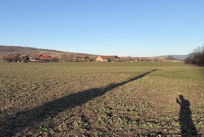 Spațiu comercial, în Central - 6