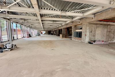 Spațiu comercial, de 1,193 mp, în Bucur Obor - 1