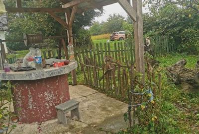 Casă individuală cu 2 camere cu Teren 1700 Mp în Vârfu Câmpului - 1