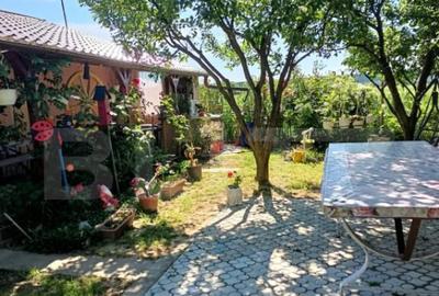 Teren 10 arii extravilan zona Careiului - 8