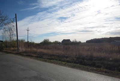 Teren Construcții intravilan de 430 mp, în Domnești - 6