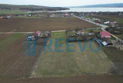 Teren de vanzare, Sat Bazga, Com. Horge?ti, Bacau - 2