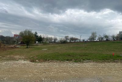 Spațiu comercial, în Săldăbagiu de Munte