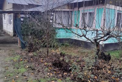 Casă cu 3 camere în Valea Cucului - 4