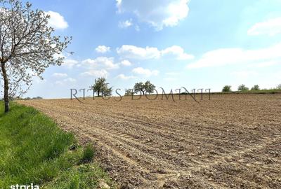 Teren de 5200 mp, în Sânmartin - 5