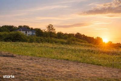 Spațiu comercial, în Paleu