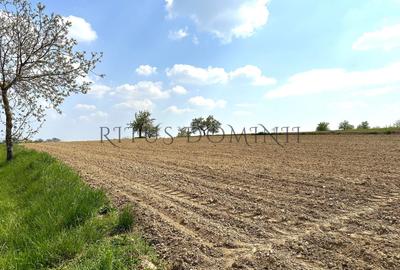 Teren Construcții intravilan de 5450 mp, în Cetariu - 3