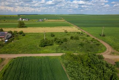 FRUMUSANI - POSTAVARI, TEREN 1500 MP, FRONT 30 M ! - 14