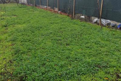 Casă cu 4 camere în Ciocile - 3