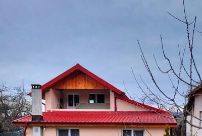 Casă individuală cu 4 camere cu Teren 2500 Mp în Mihăești - 1