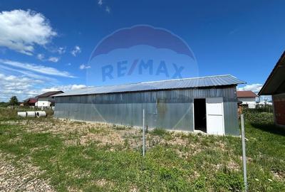 Casa 90m2 cu hala 120 m2 si 8 ari de teren de vanzare in CATALINA - 11
