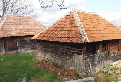 Spațiu comercial, în Pui - 2