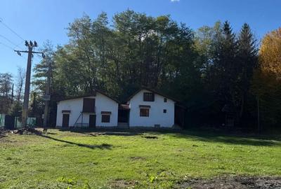 Teren 16000mp cu 2 vile - 2