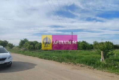 Teren de 1400 mp, în Joița - 2