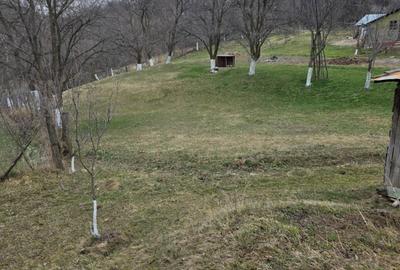 Casă cu 2 camere în Bătrâni - 6