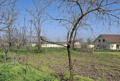 Casă cu Teren 1600 Mp în Ciocârlia - 5