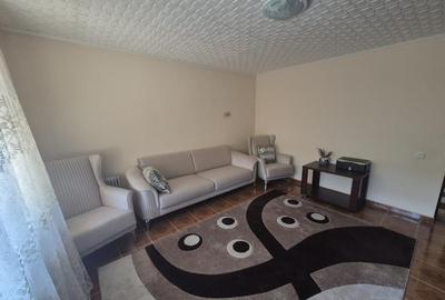Apartament semidecomandat în Vidra - 14