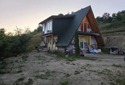 Casă în Avram Iancu - 4