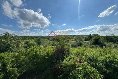 Teren intravilan 20280 mp, oportunitate investitie, Gageni, Prahova - 3