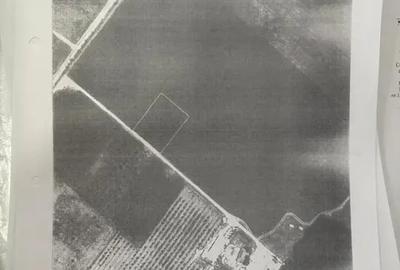 Oportunitate Teren Case Individuale sau Duplexuri Padurea Cernica 300m - 3