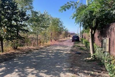 Teren Cornetu Strada Magnoliei- Pinului - 1