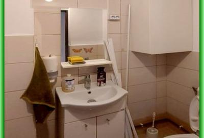 Apartament 3 camere de inchiriat, Malu Roșu, ECX62732 - 9