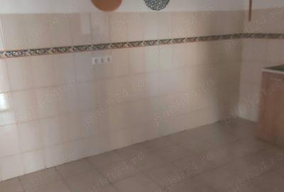 Casa Sagului -Rebreanu de vanzare - 2