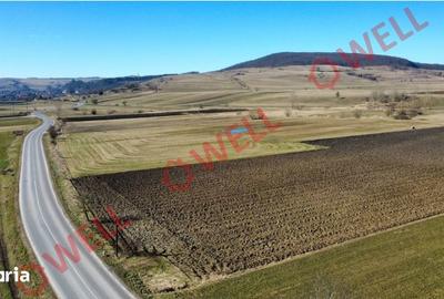 Teren de 15000 mp, în Bățani - 3