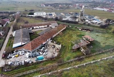 Casa cu teren de 14340 mp în Jebel/Pretabila pentru afacere - 7