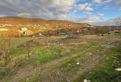 Teren intravilan 1500mp, 2 fronturi, Valea Jelnei - 1