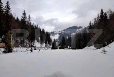 Casă cu Teren 350 Mp în Deal - 12