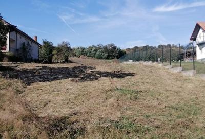 Spațiu comercial, în Central