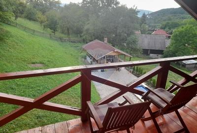 Cabana de vânzare, Valeni - 16