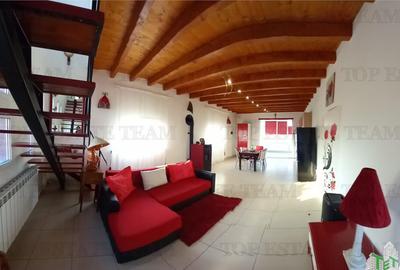 VILA SUPERBA AFACERE LA CHEIE COSTINESTI - 14