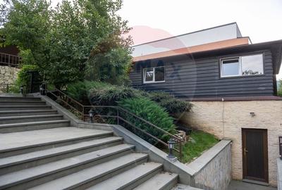 Vila spectaculoasa de vanzare in Faget - 16